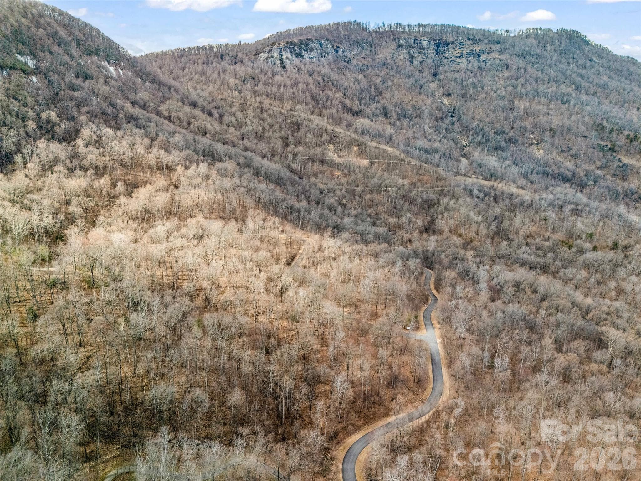 Lot at Mill Spring, photo 12 of 28