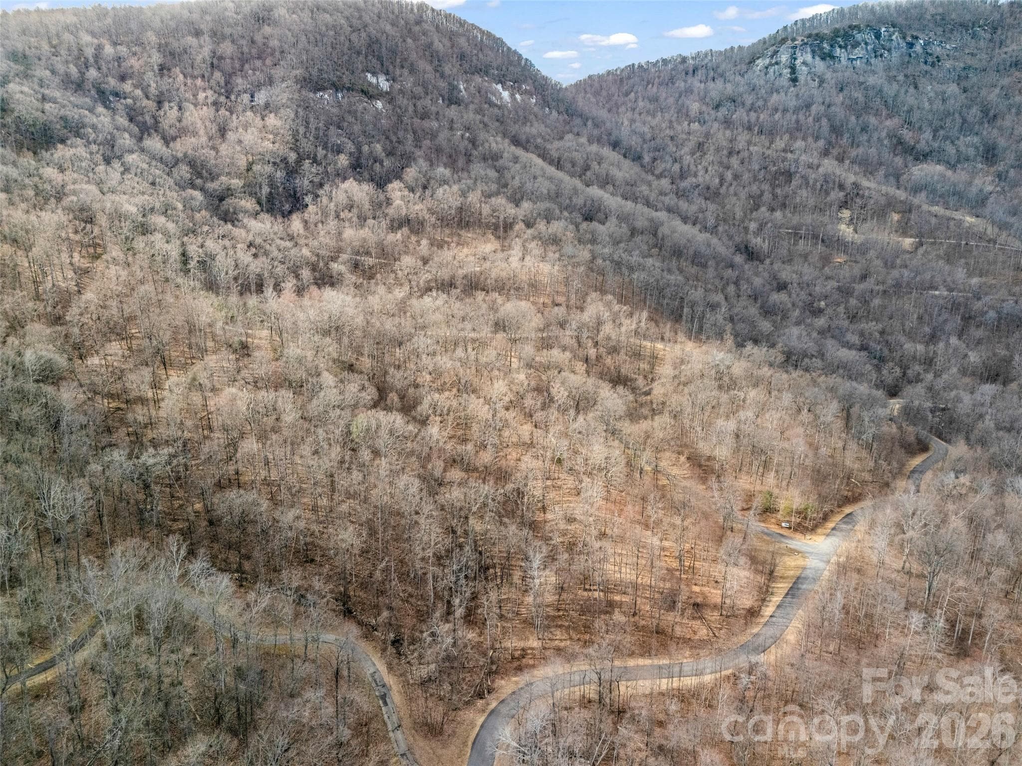 Lot at Mill Spring, photo 13 of 28