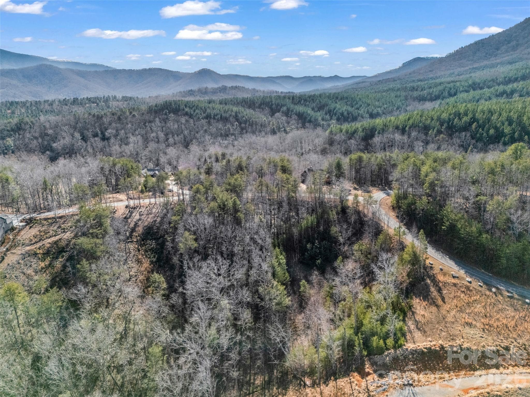 Lot at Mill Spring, photo 17 of 33