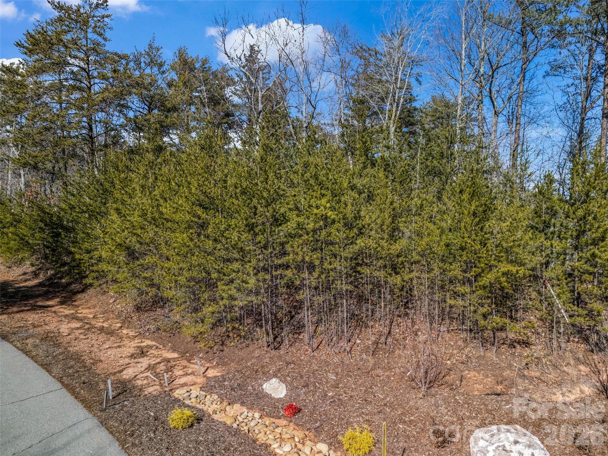 Lot at Mill Spring, photo 20 of 33