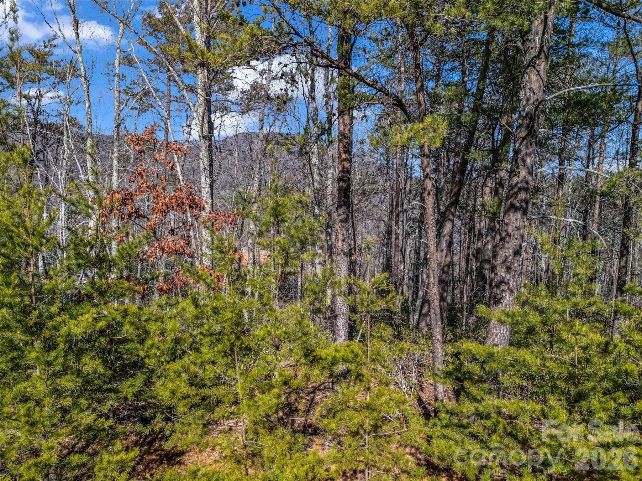 Lot at Mill Spring, photo 21 of 33
