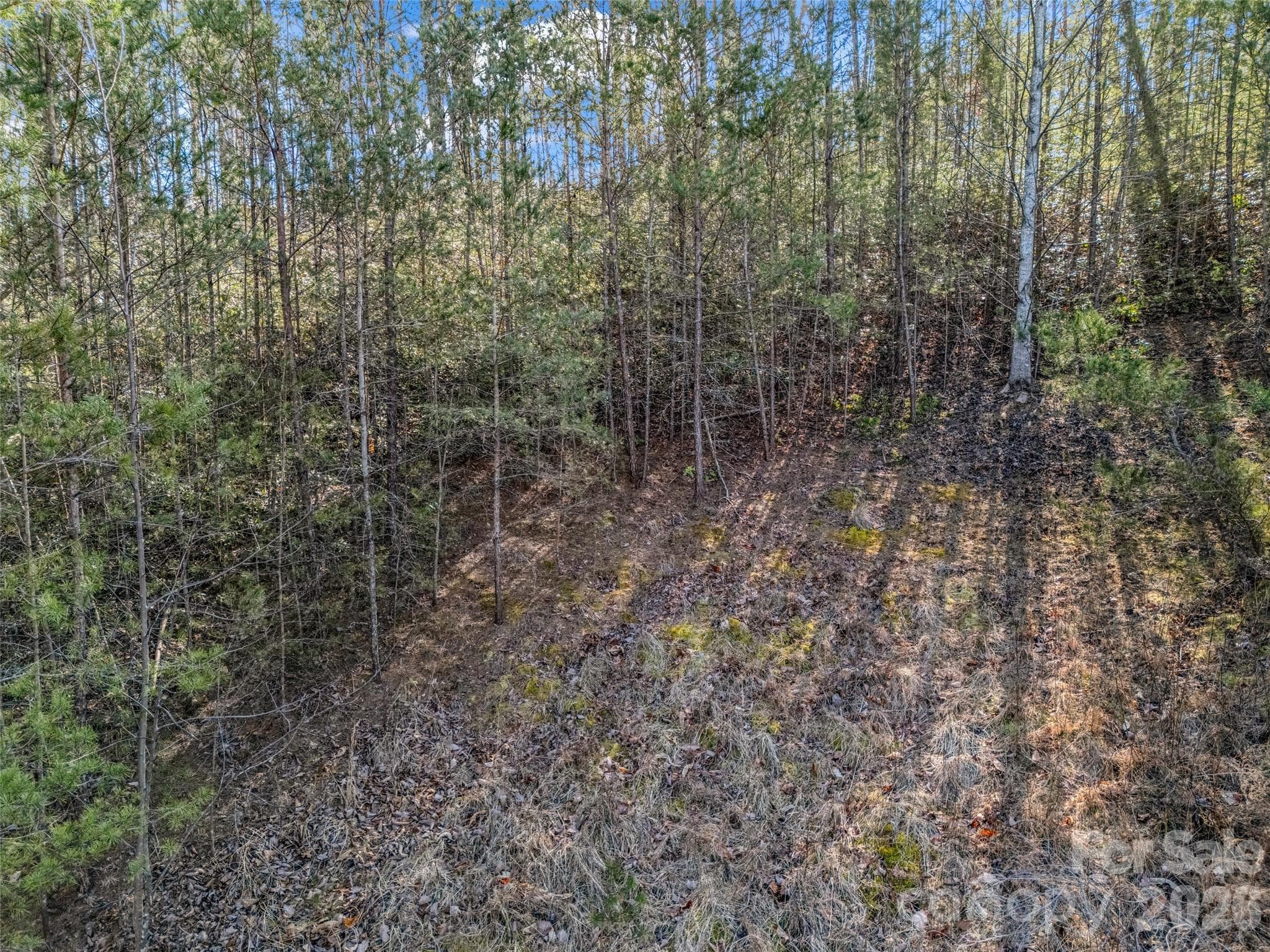 Lot at Mill Spring, photo 22 of 33