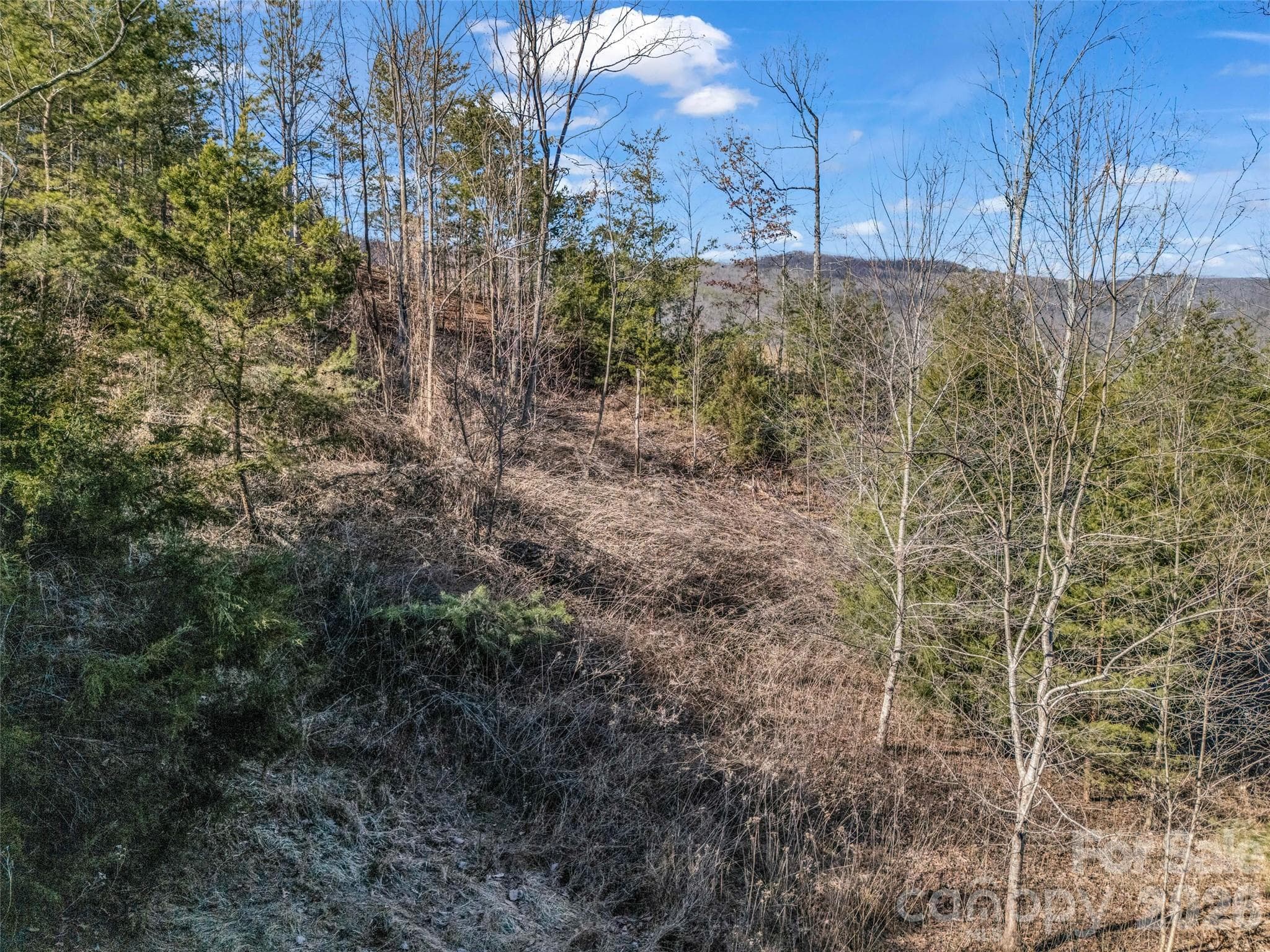 Lot at Mill Spring, photo 23 of 33