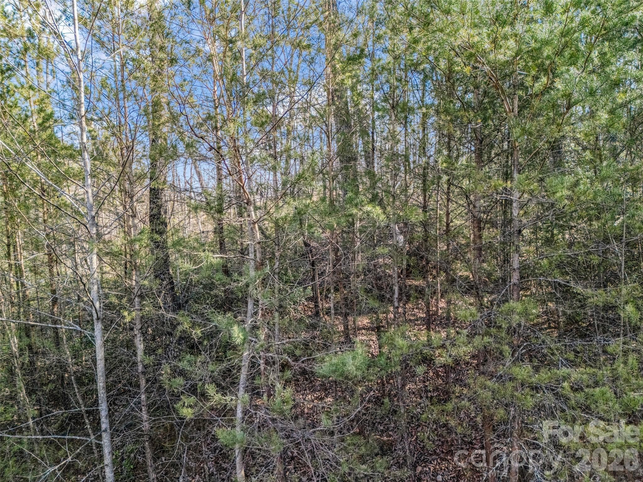Lot at Mill Spring, photo 25 of 33