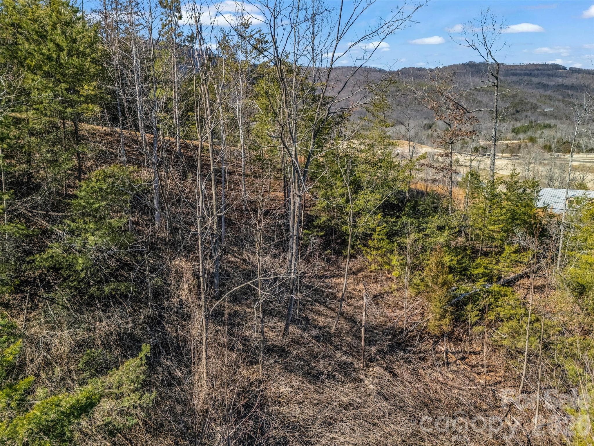 Lot at Mill Spring, photo 26 of 33