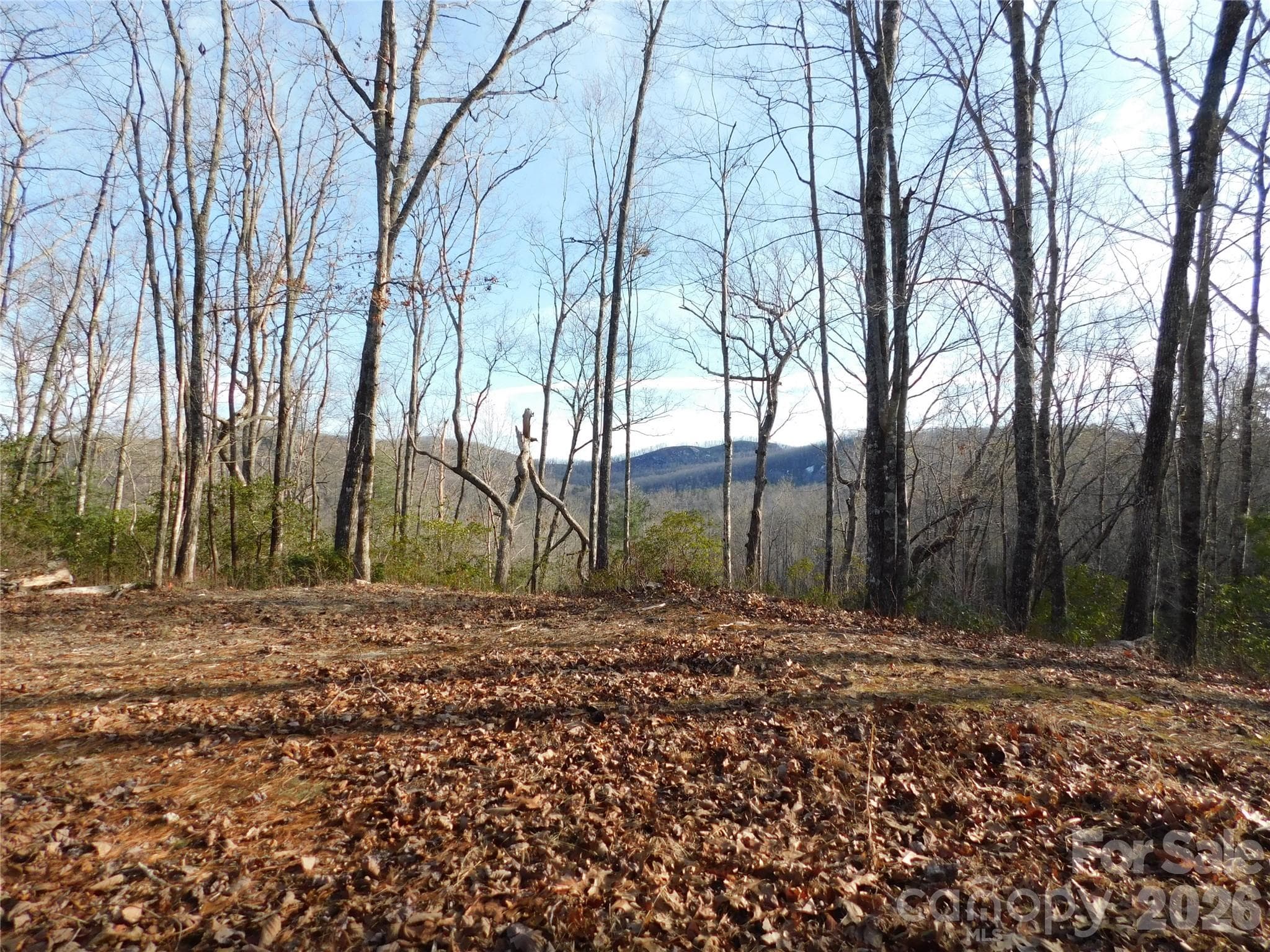 Site is ready for your vision. - Brevard