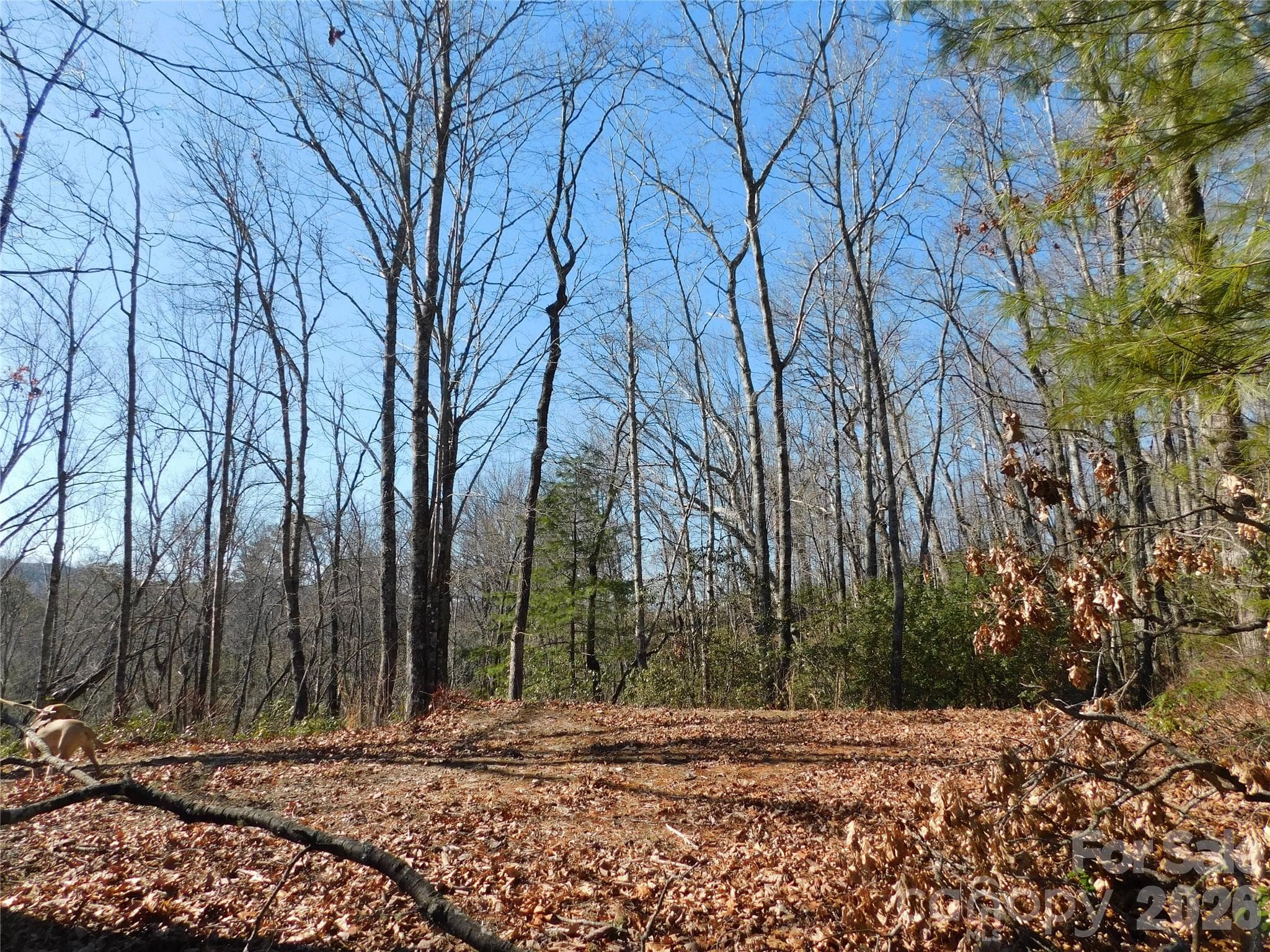 A quiet retreat from a busy life. - Brevard