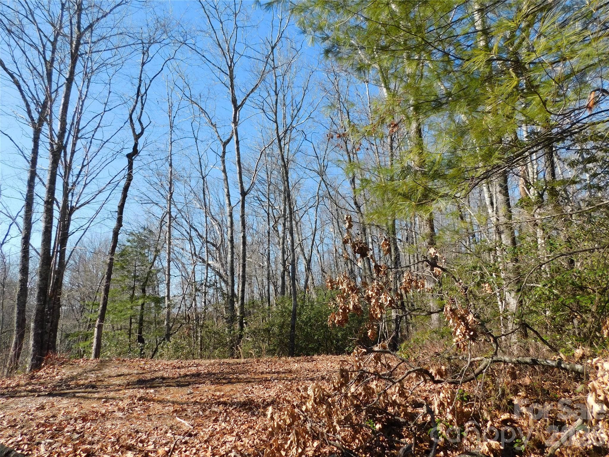 10 minutes from Dupont State Forest. - Brevard