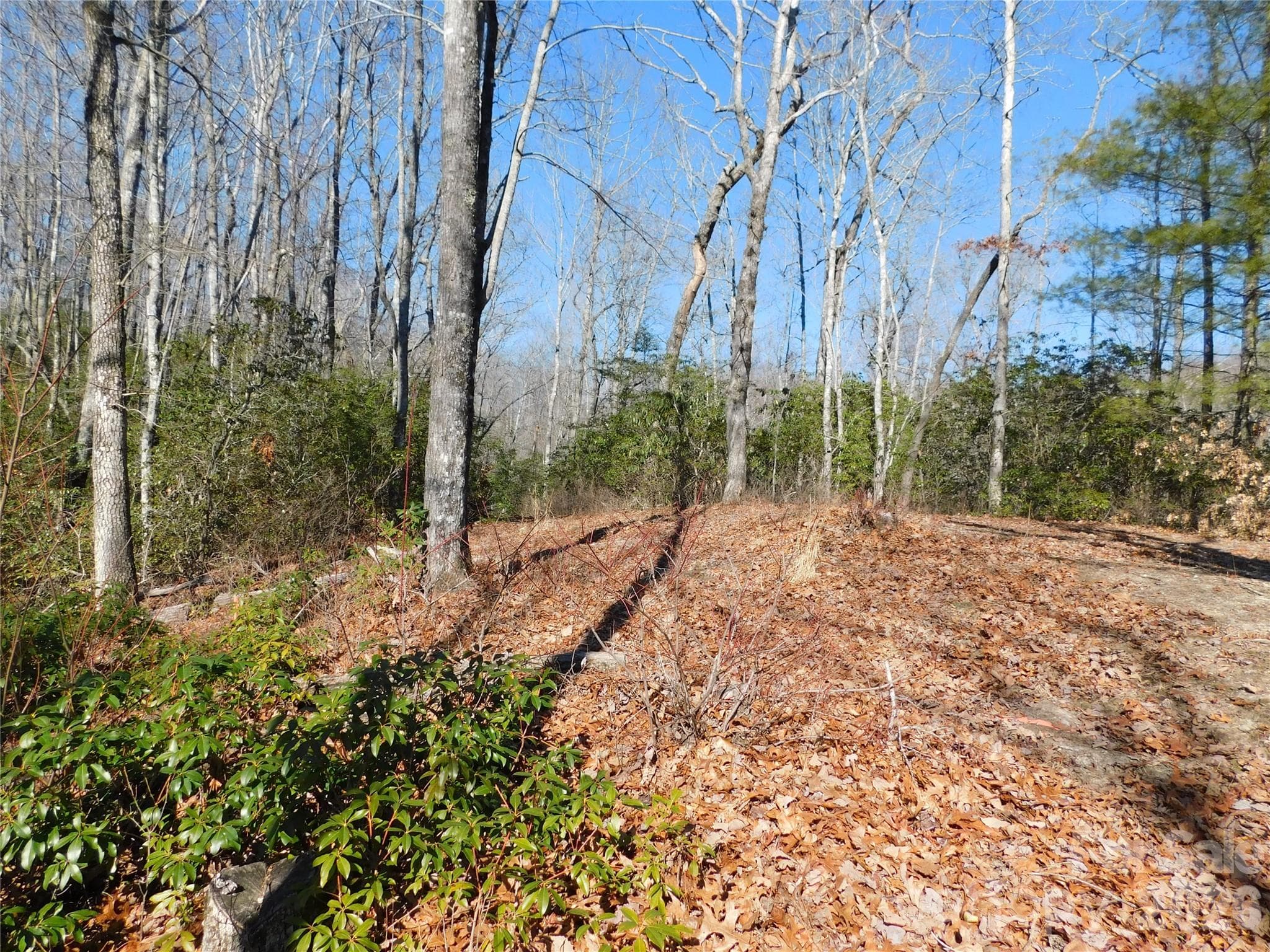 Conveniently located close to the second main Big Hill entrance. - Brevard