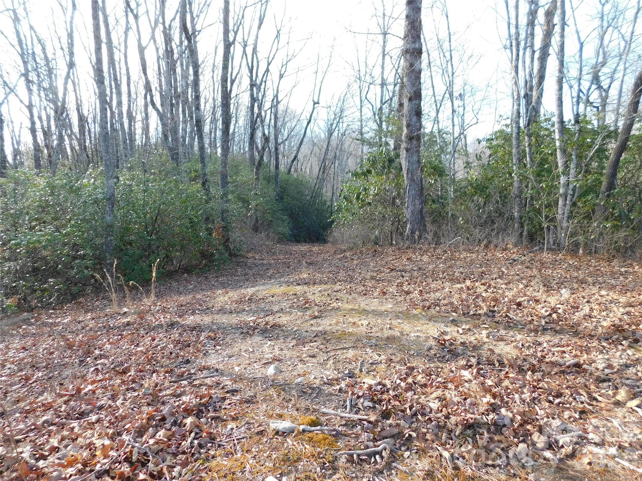 Driveway already cut in, providing easy access to the building site. - Brevard