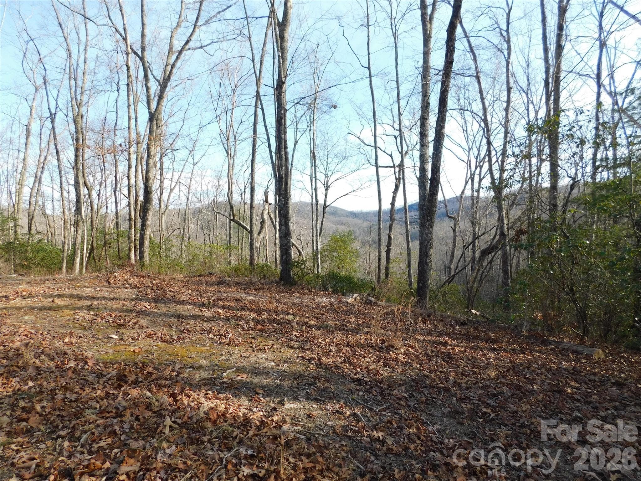 Beautiful long-range view. - Brevard