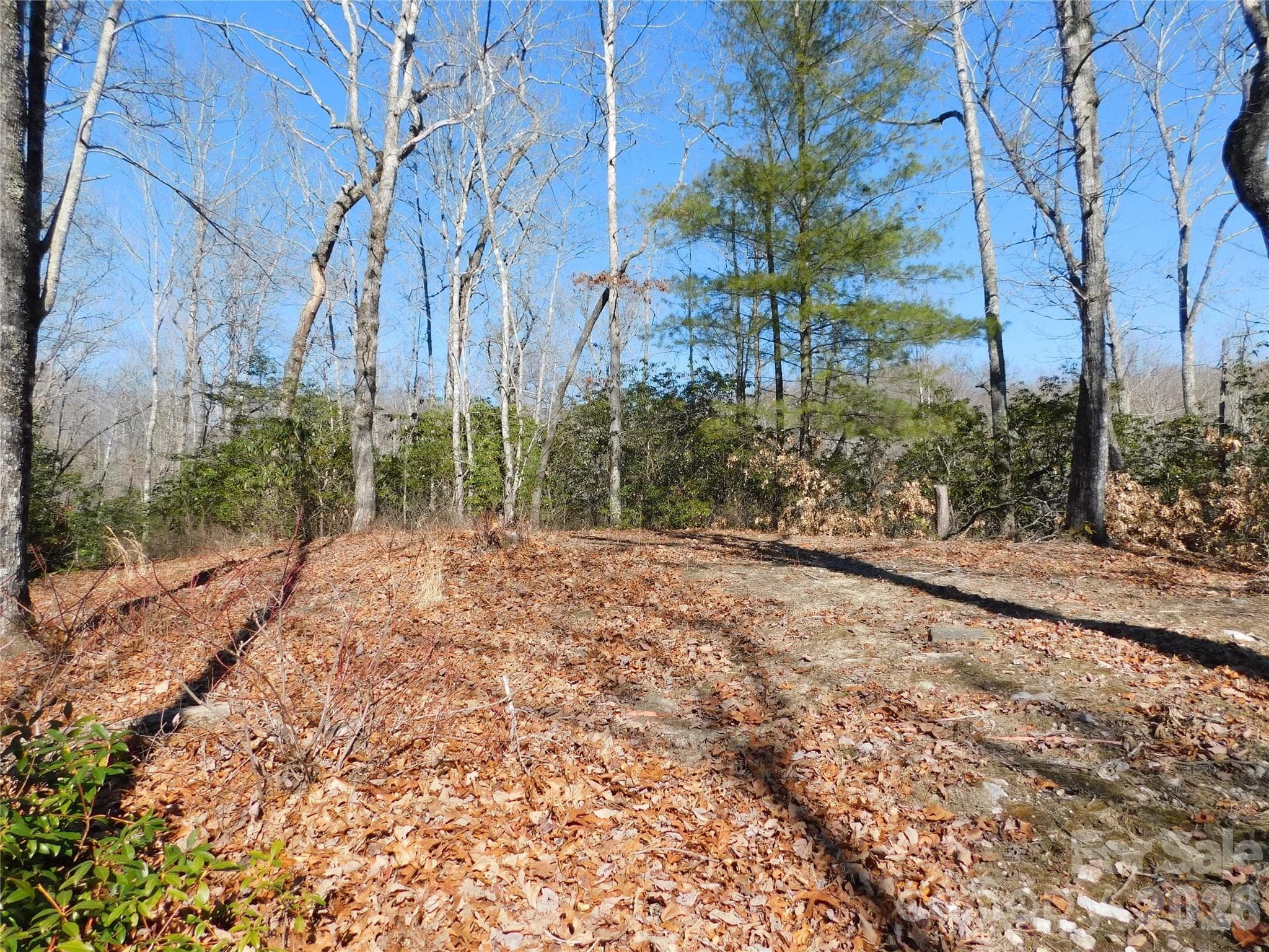 Peaceful wooded surroundings offer privacy and a true mountain feel. - Brevard