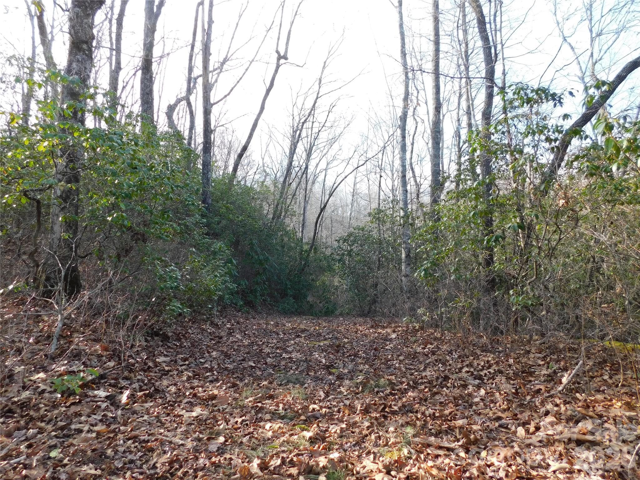 Easy drive with natural privacy from main road. - Brevard