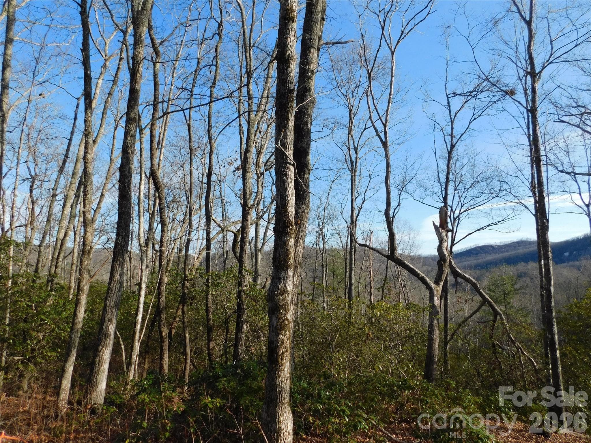 Wind down after a long day watching the deer graze. - Brevard