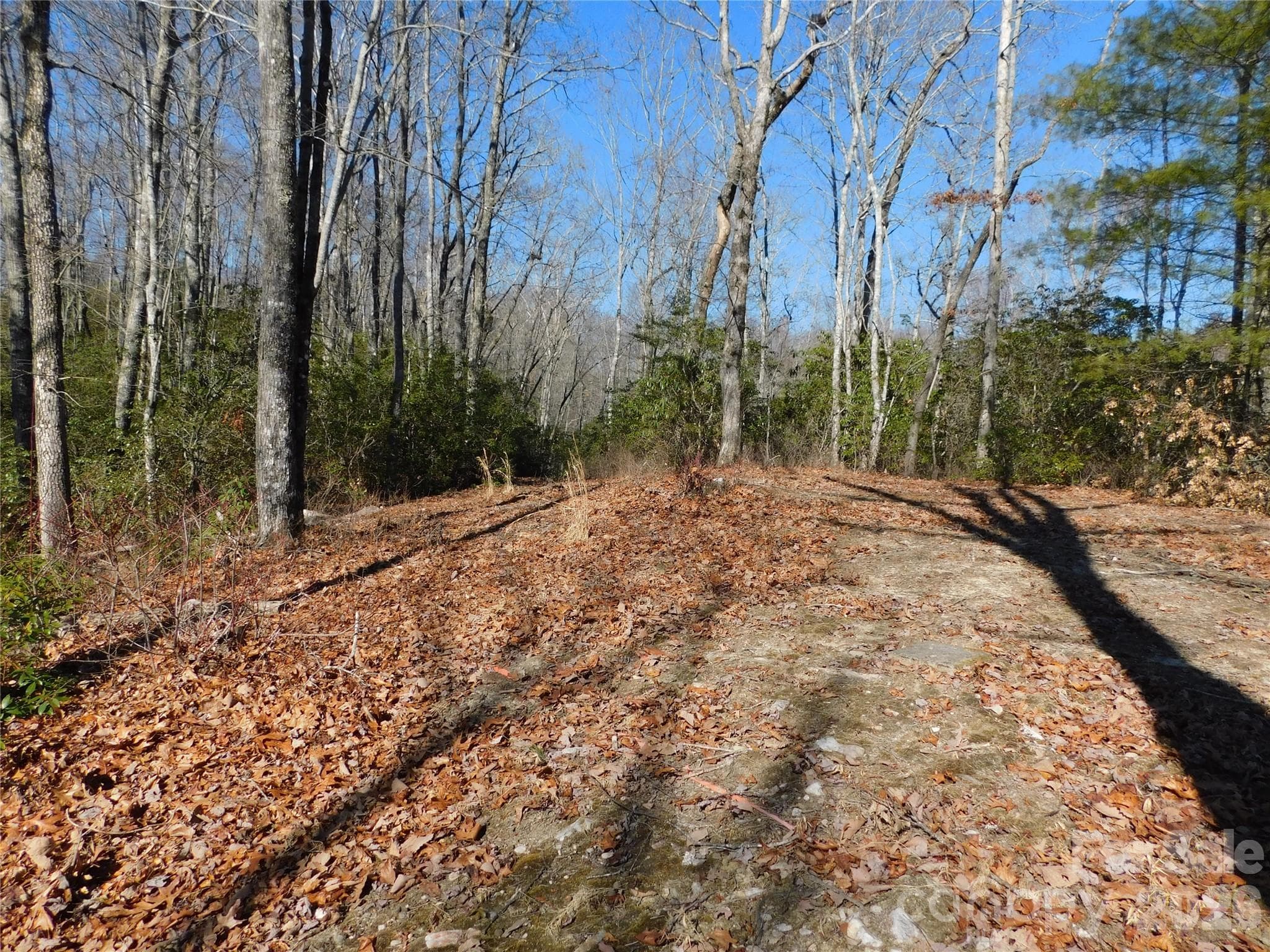 Perfect blend of privacy, beauty, and convenience. - Brevard