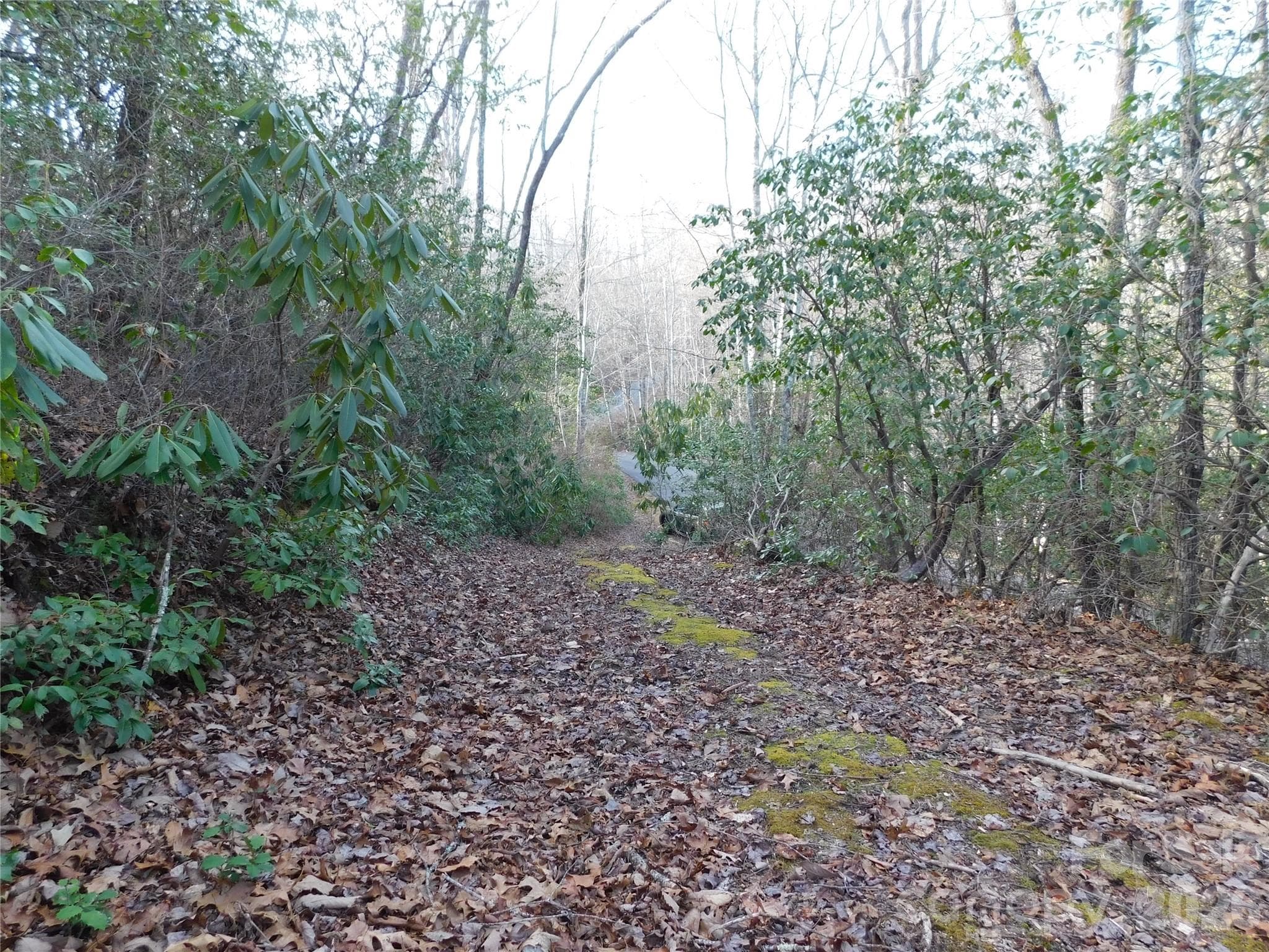 Full view of drive. - Brevard