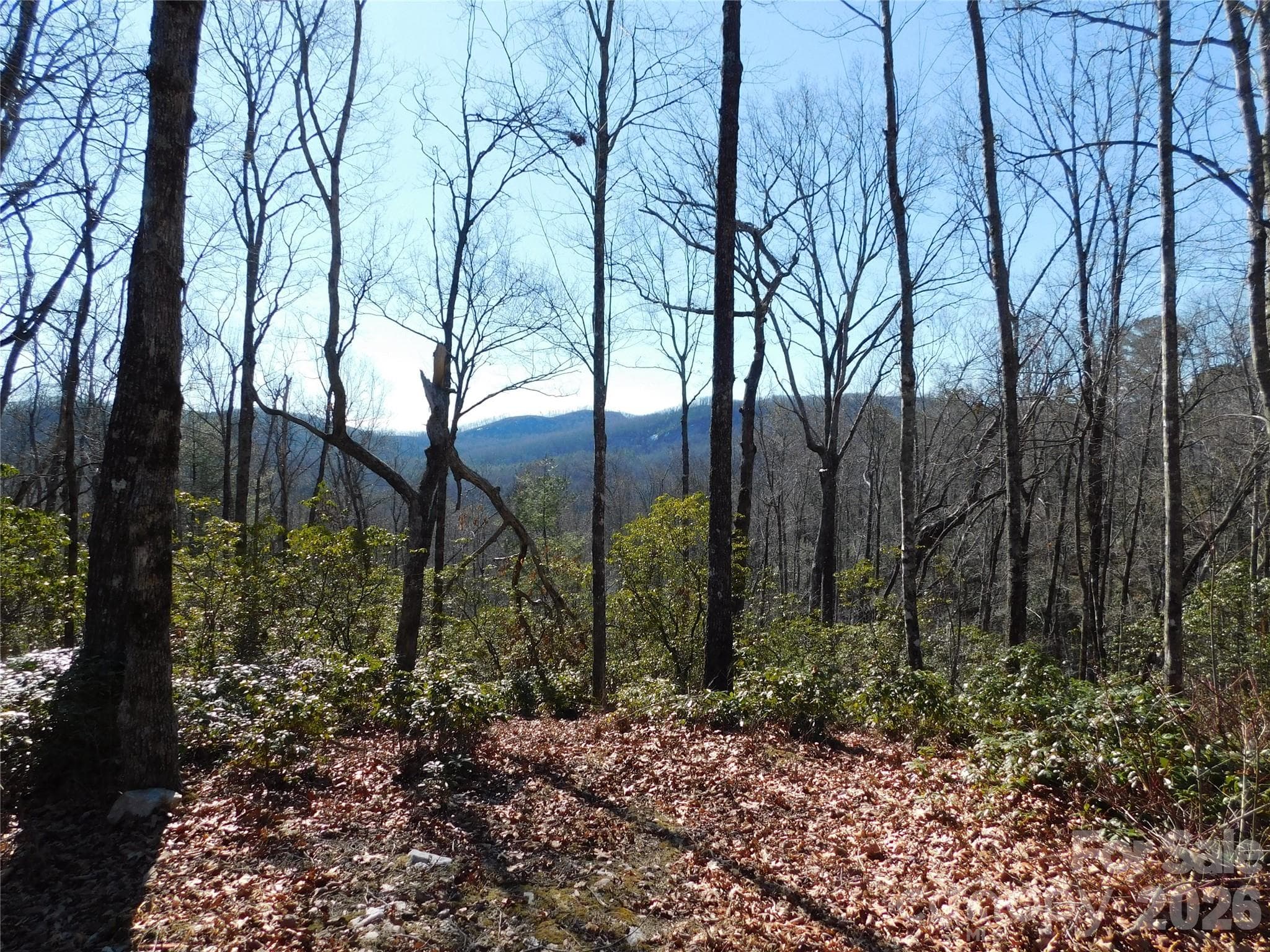 Peaceful mountain setting.  It doesn't get any better! - Brevard