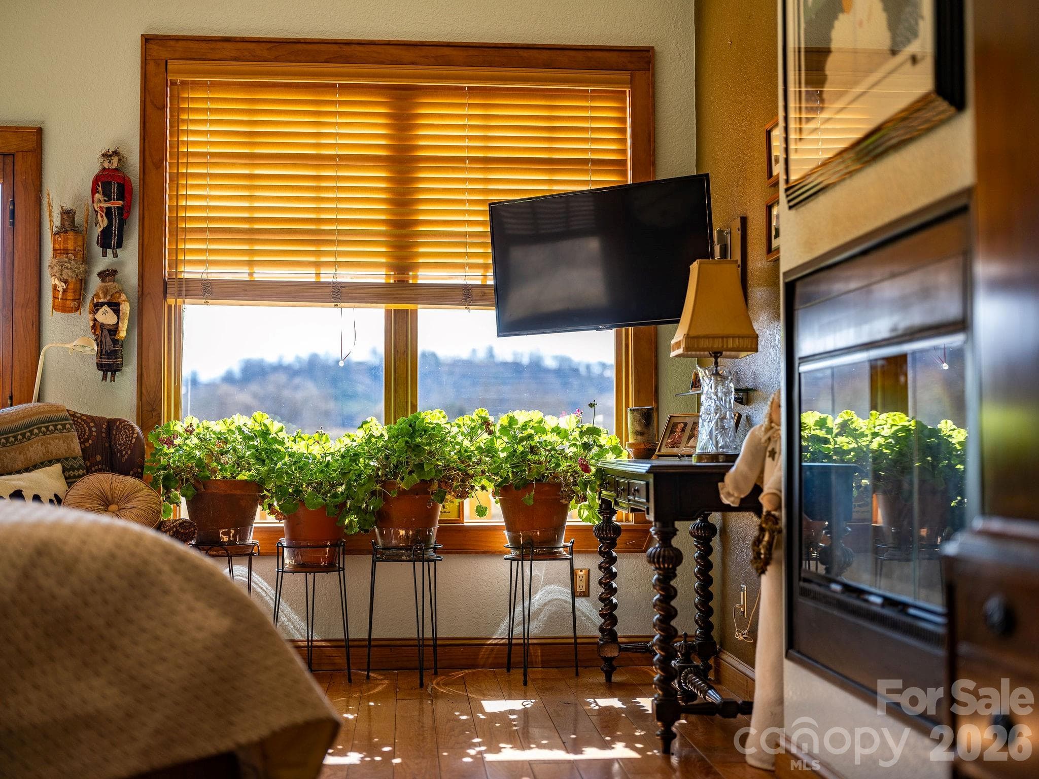 Warm with the fireplace or warm with the sun - 22 Mountain Spring Lane, Canton
