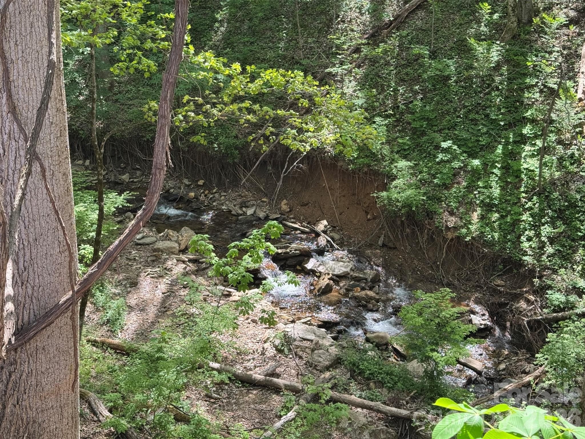 Some erosion from Helene visible on Browning Branch - Waynesville
