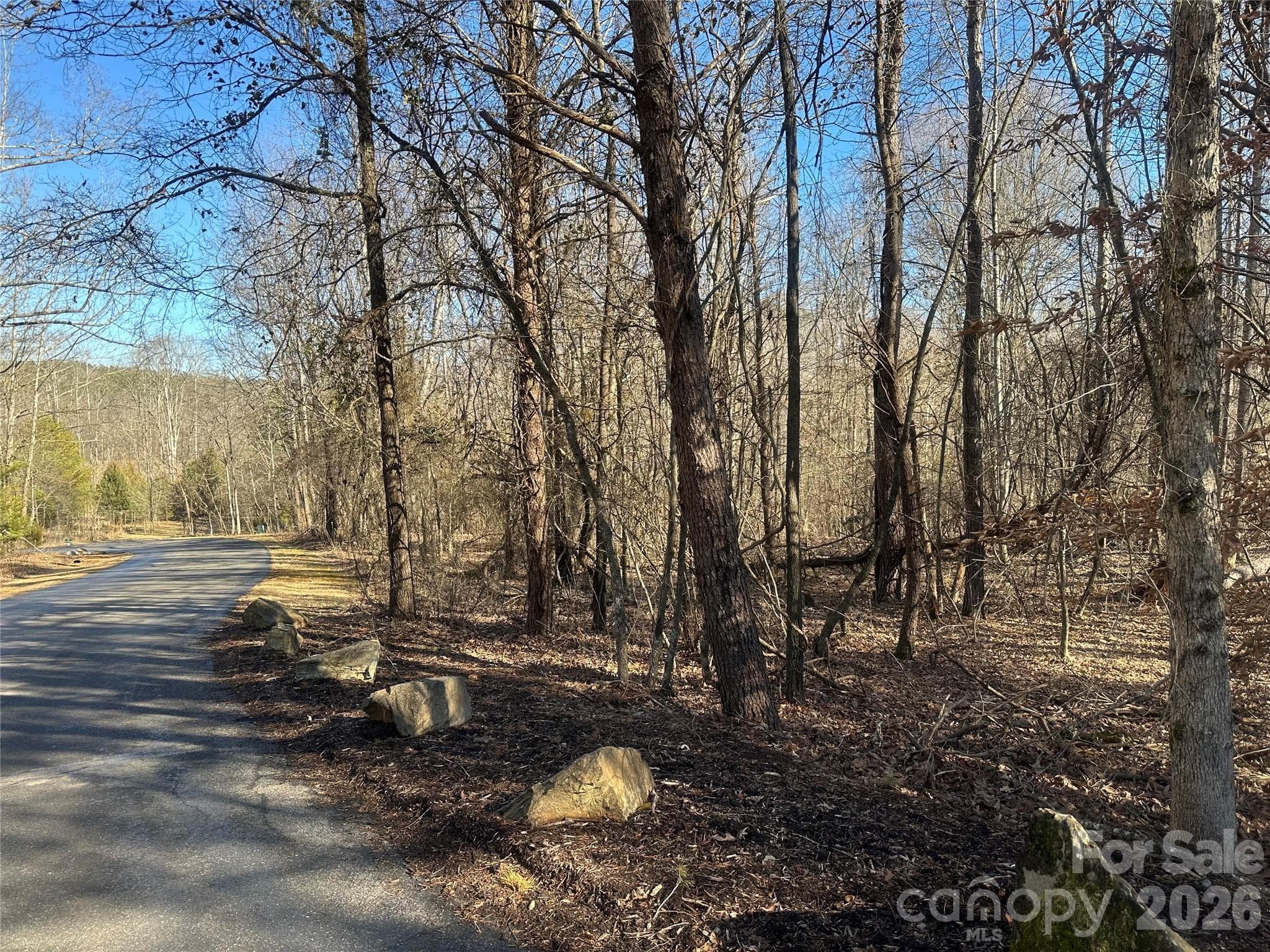Lot at Rutherfordton, photo 6 of 16