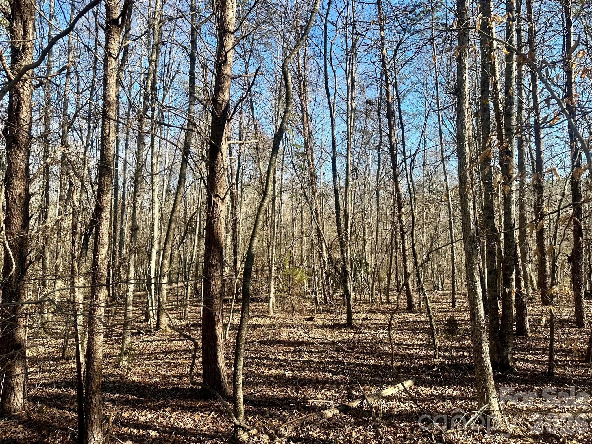 Gently sloping - Rutherfordton