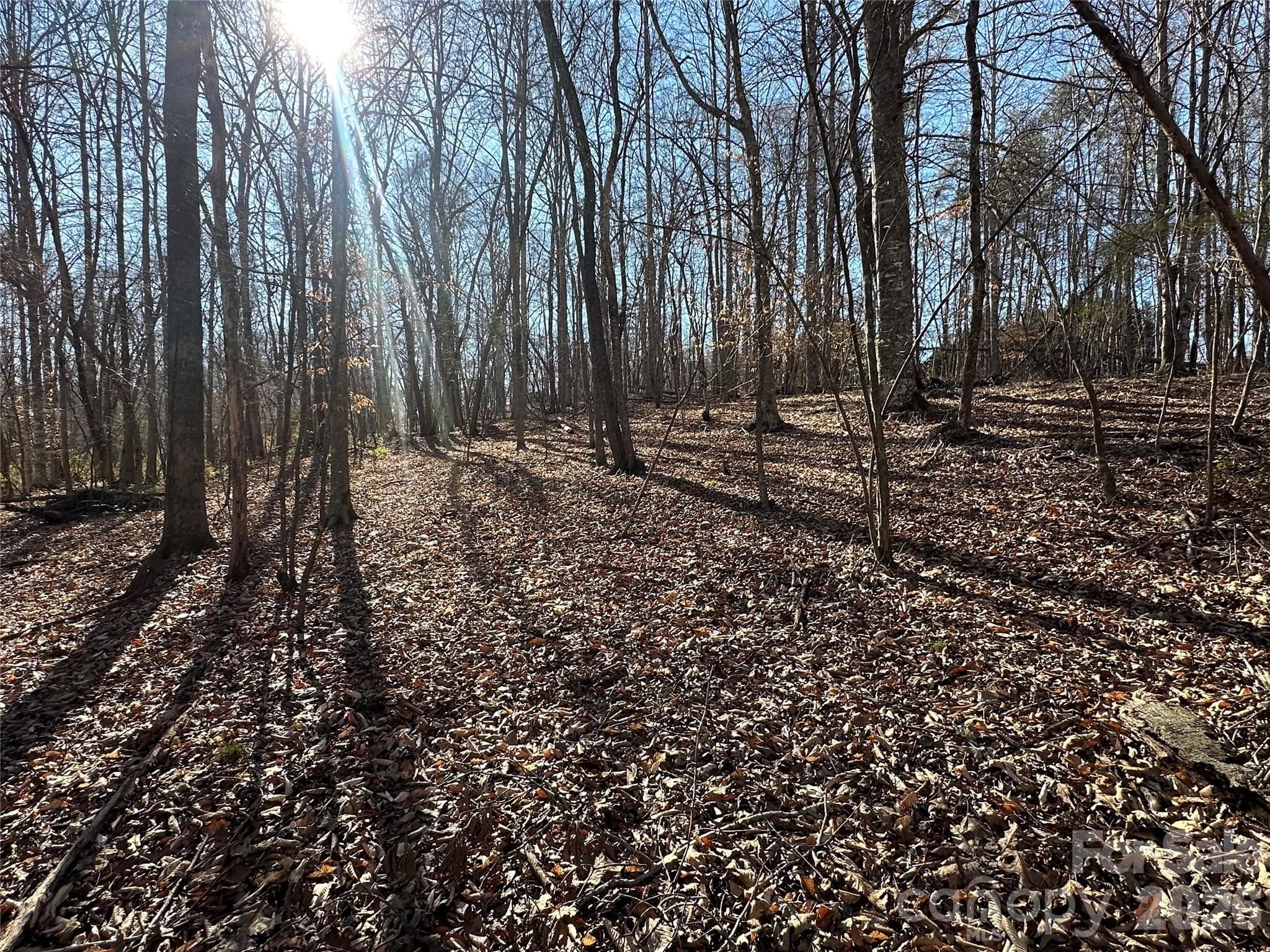 Lot at Rutherfordton, photo 8 of 16