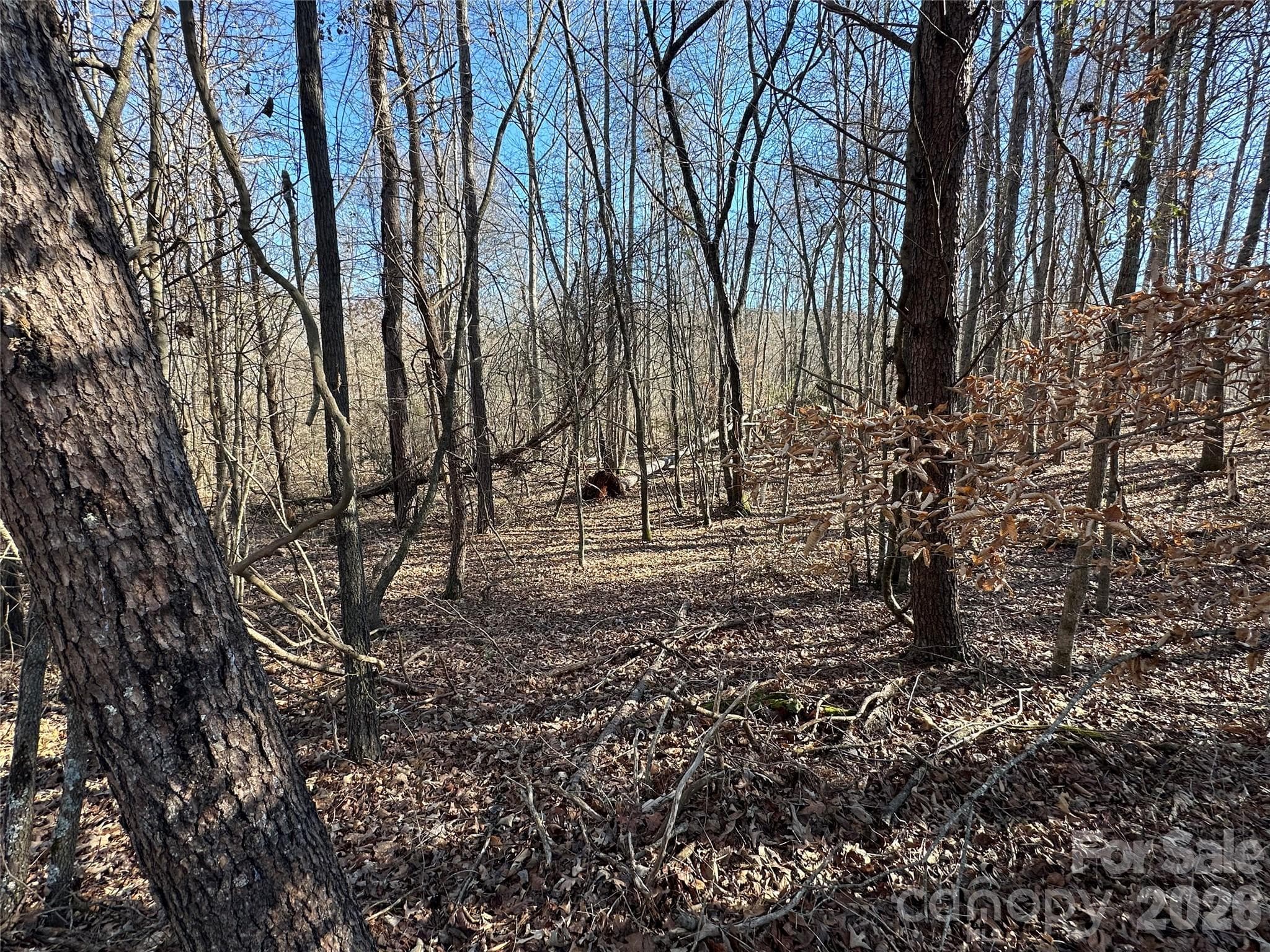 Lot at Rutherfordton, photo 9 of 16