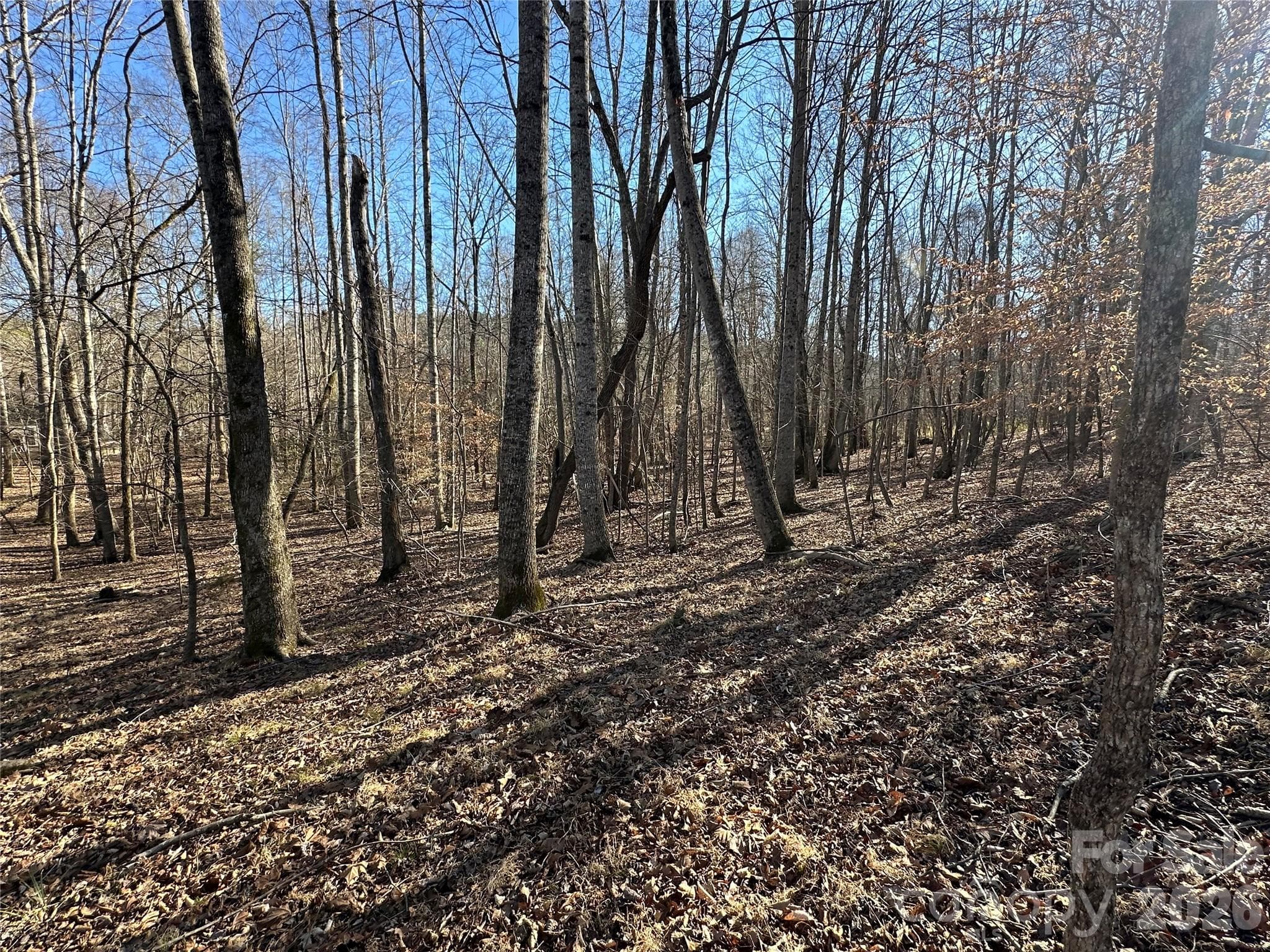 Lot at Rutherfordton, photo 10 of 16