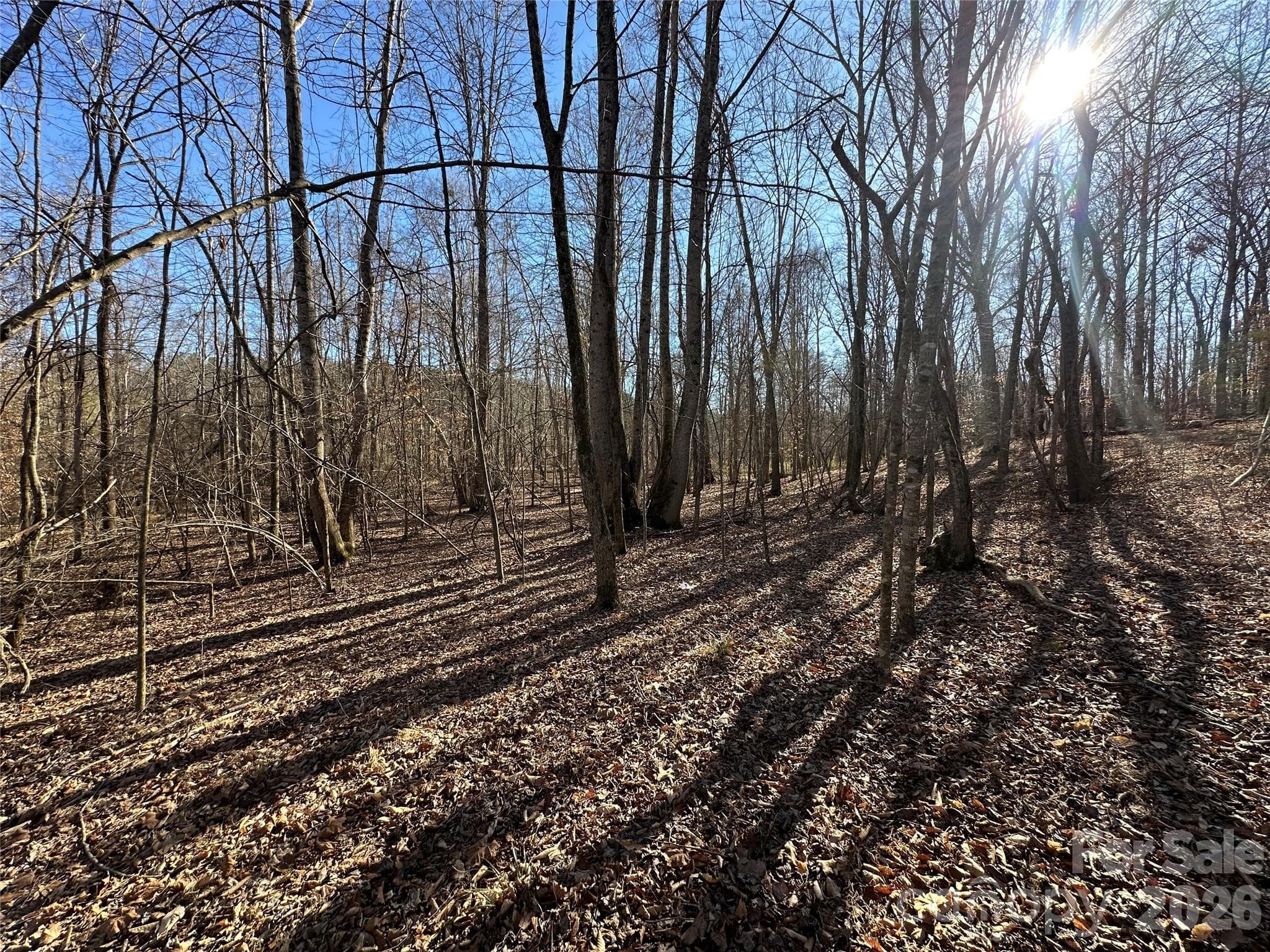Lot at Rutherfordton, photo 11 of 16