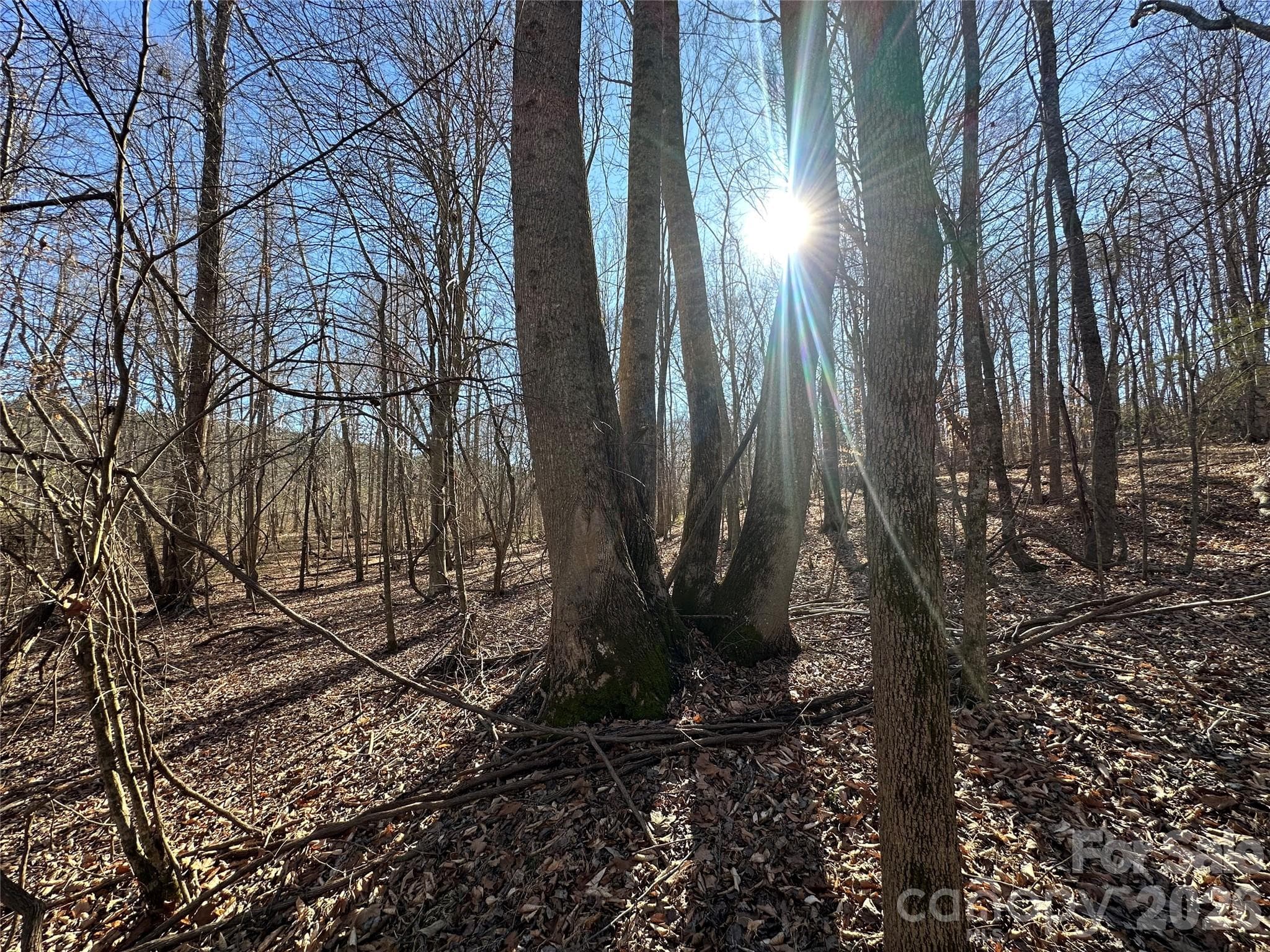 Lot at Rutherfordton, photo 12 of 16