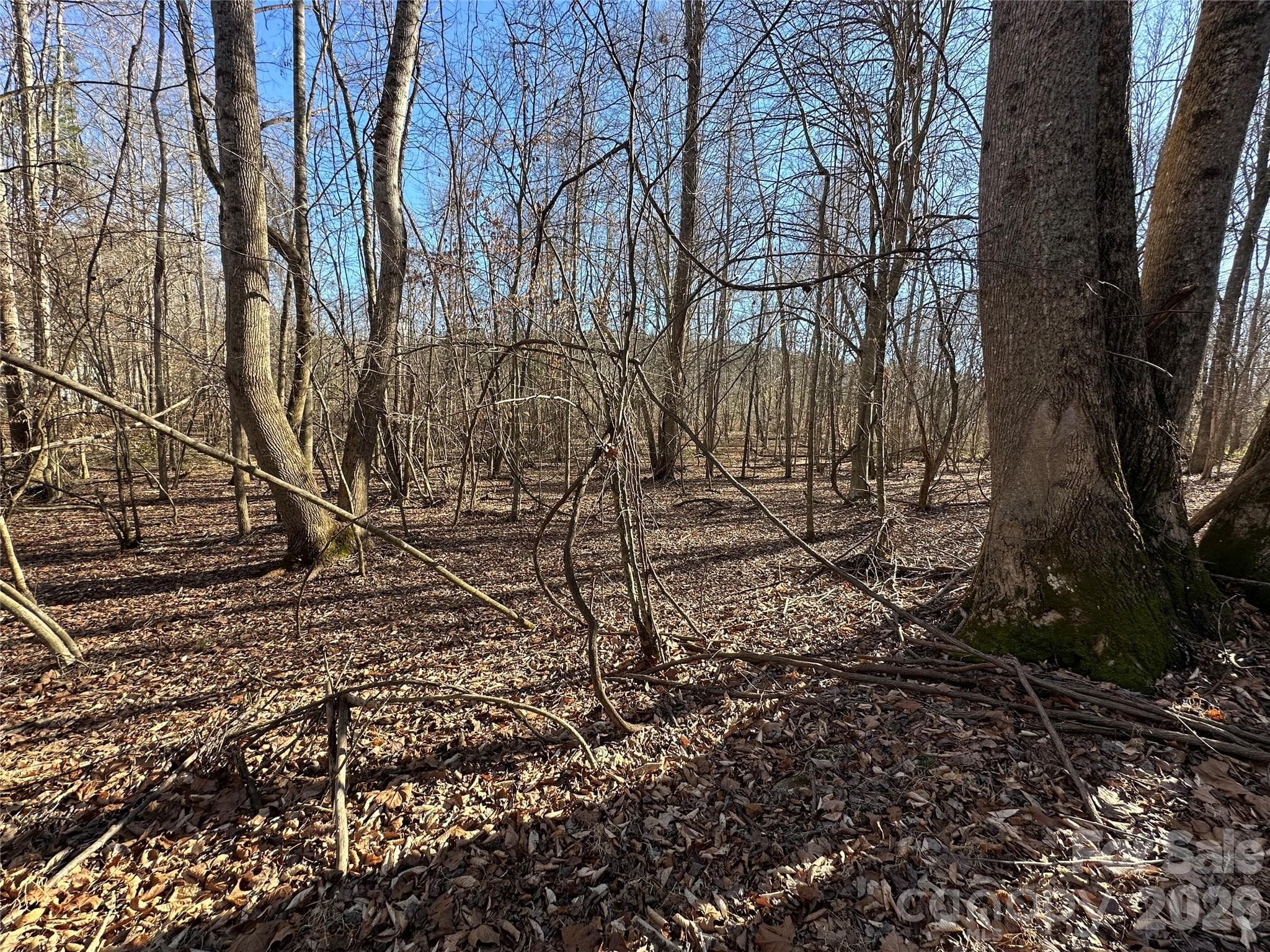 Lot at Rutherfordton, photo 13 of 16