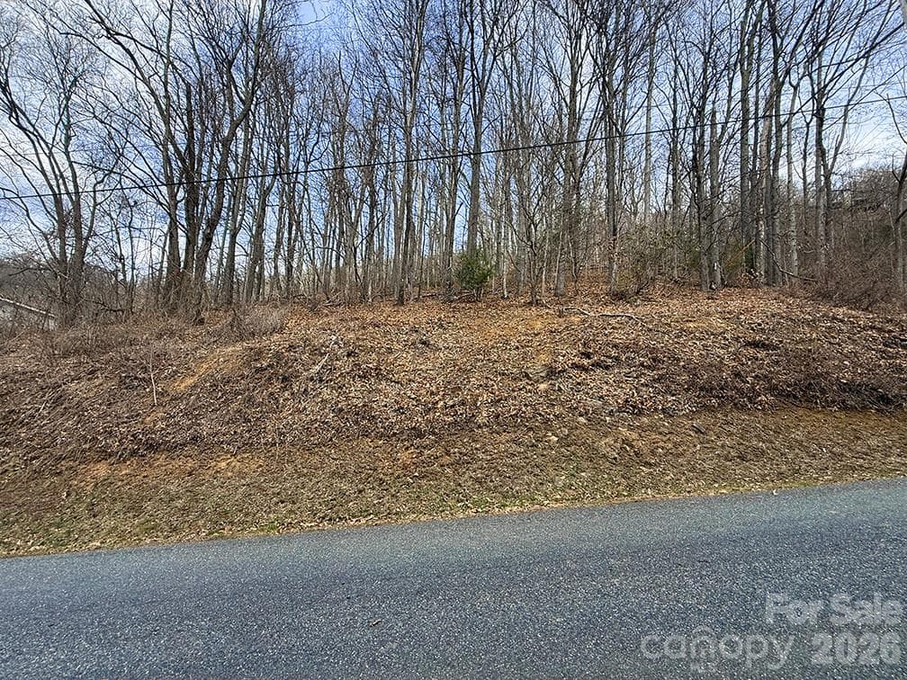 Lot at Waynesville, photo 3 of 8