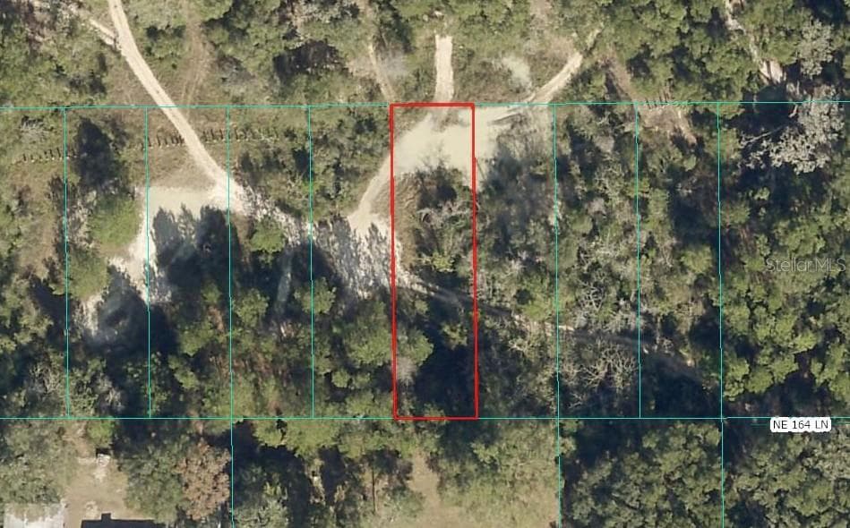 Land at Lot 026 NE 164TH LN, CITRA, photo 3 of 29