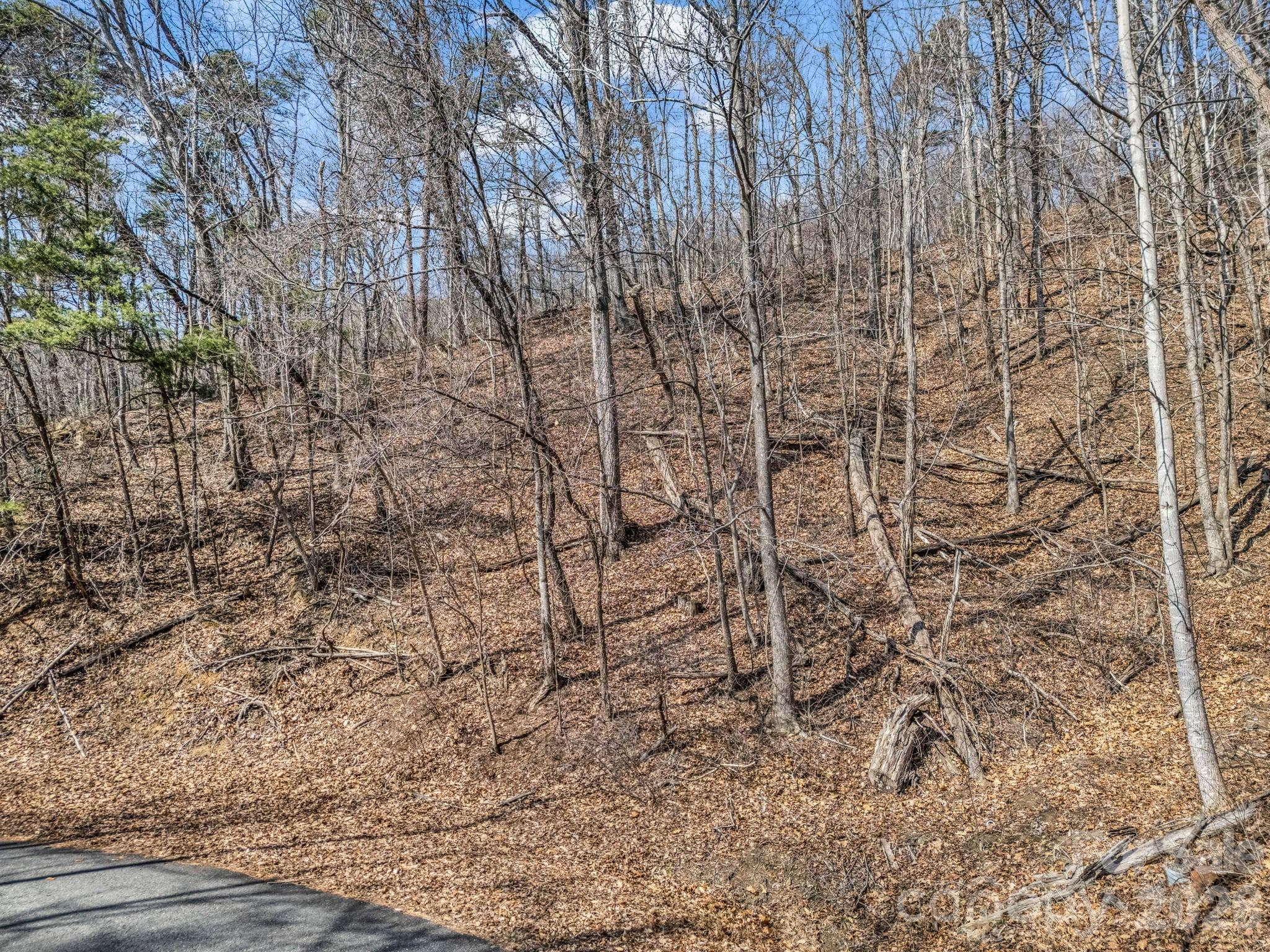Lot at Lot #19 Hemlock Trail, Columbus, photo 4 of 10