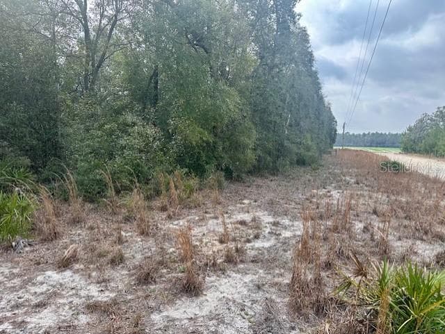 Land at NW 11TH AVE, BELL, photo 4 of 12