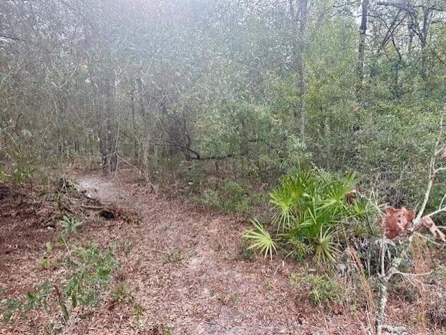 Land at NW 11TH AVE, BELL, photo 5 of 12