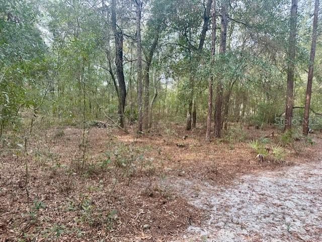 Land at NW 11TH AVE, BELL, photo 6 of 12