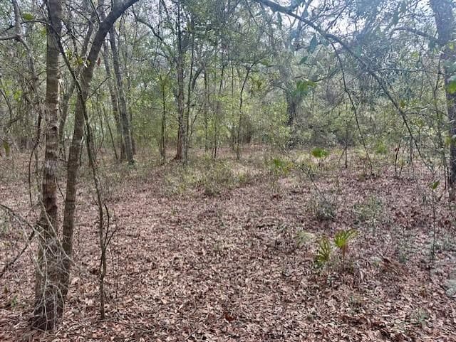 Land at NW 11TH AVE, BELL, photo 7 of 12