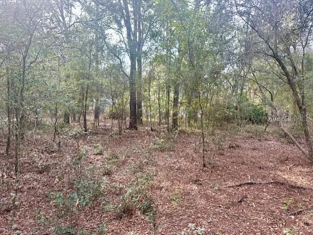 Land at NW 11TH AVE, BELL, photo 8 of 12