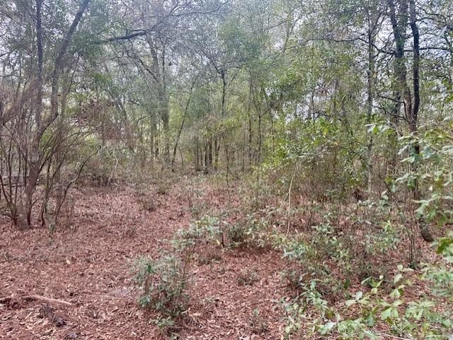Land at NW 11TH AVE, BELL, photo 9 of 12