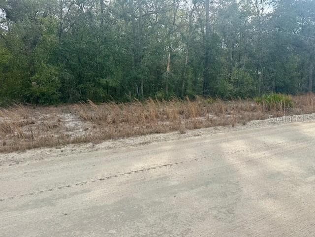Land at NW 11TH AVE, BELL, photo 11 of 12