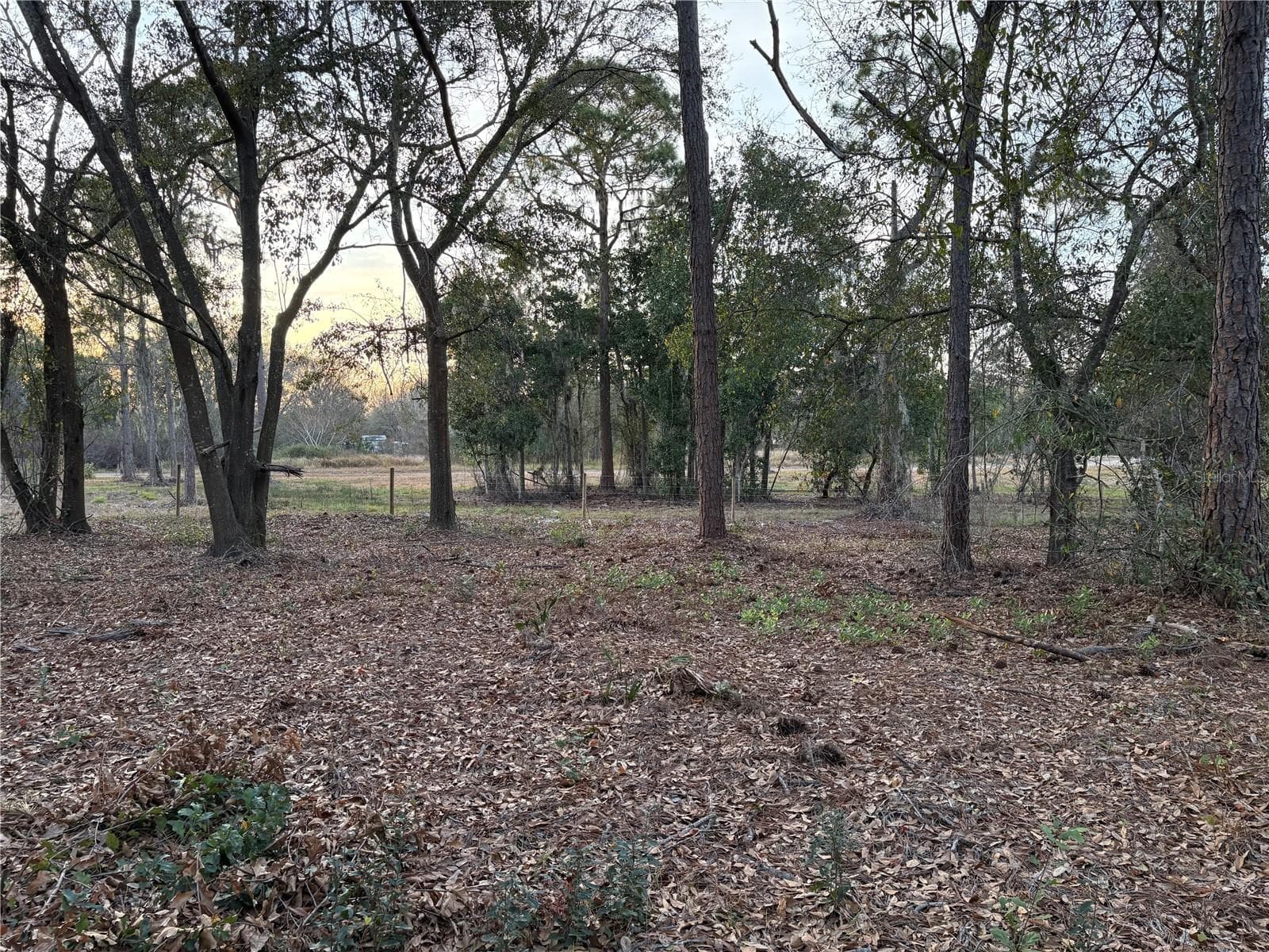 Land at ALTURAS BABSON PARK CUTOFF RD, BARTOW, photo 2 of 14