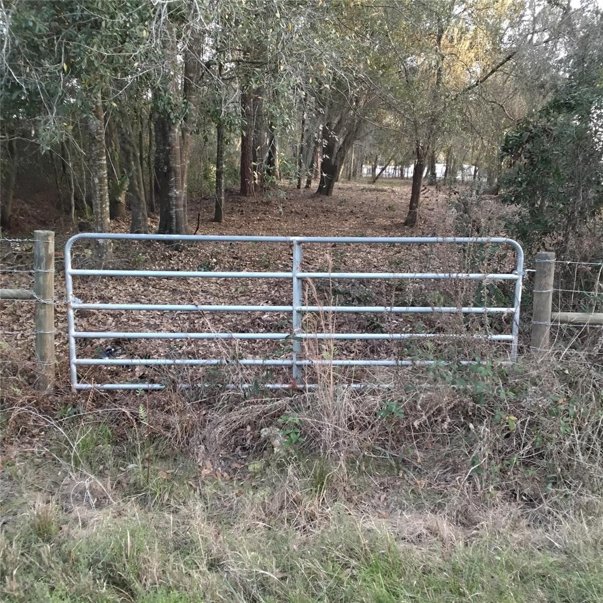 Land at ALTURAS BABSON PARK CUTOFF RD, BARTOW, photo 3 of 14