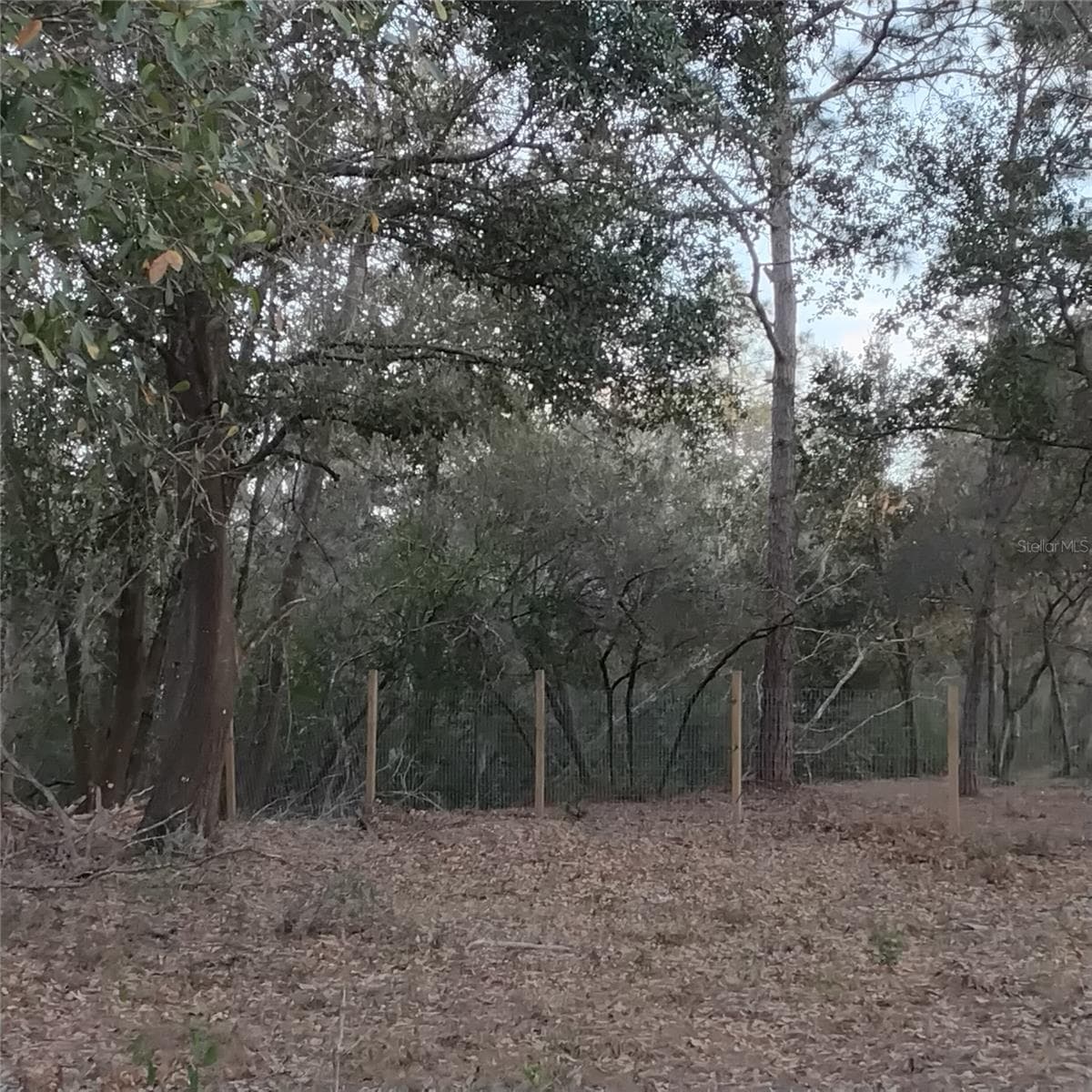 Land at ALTURAS BABSON PARK CUTOFF RD, BARTOW, photo 5 of 14