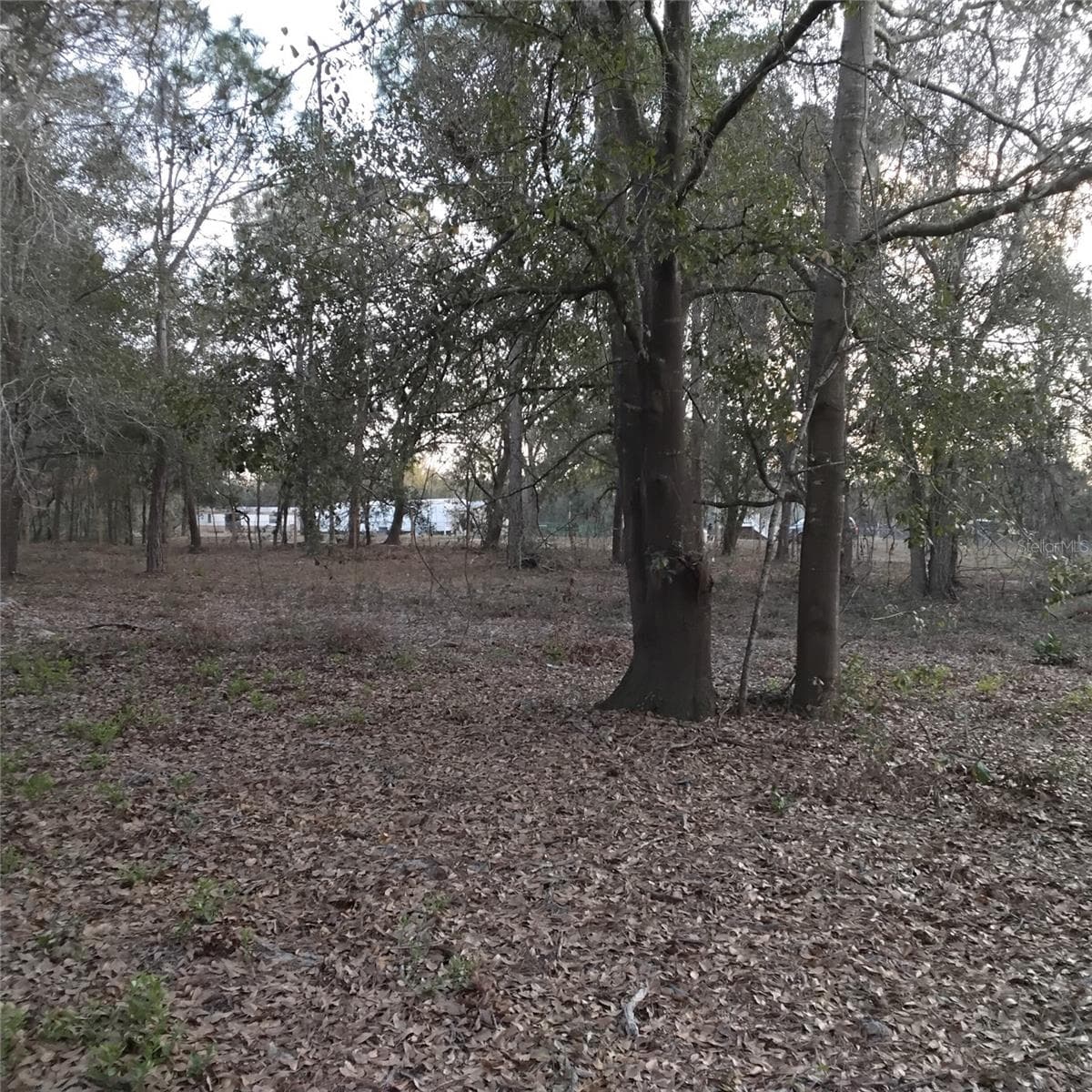 Land at ALTURAS BABSON PARK CUTOFF RD, BARTOW, photo 13 of 14