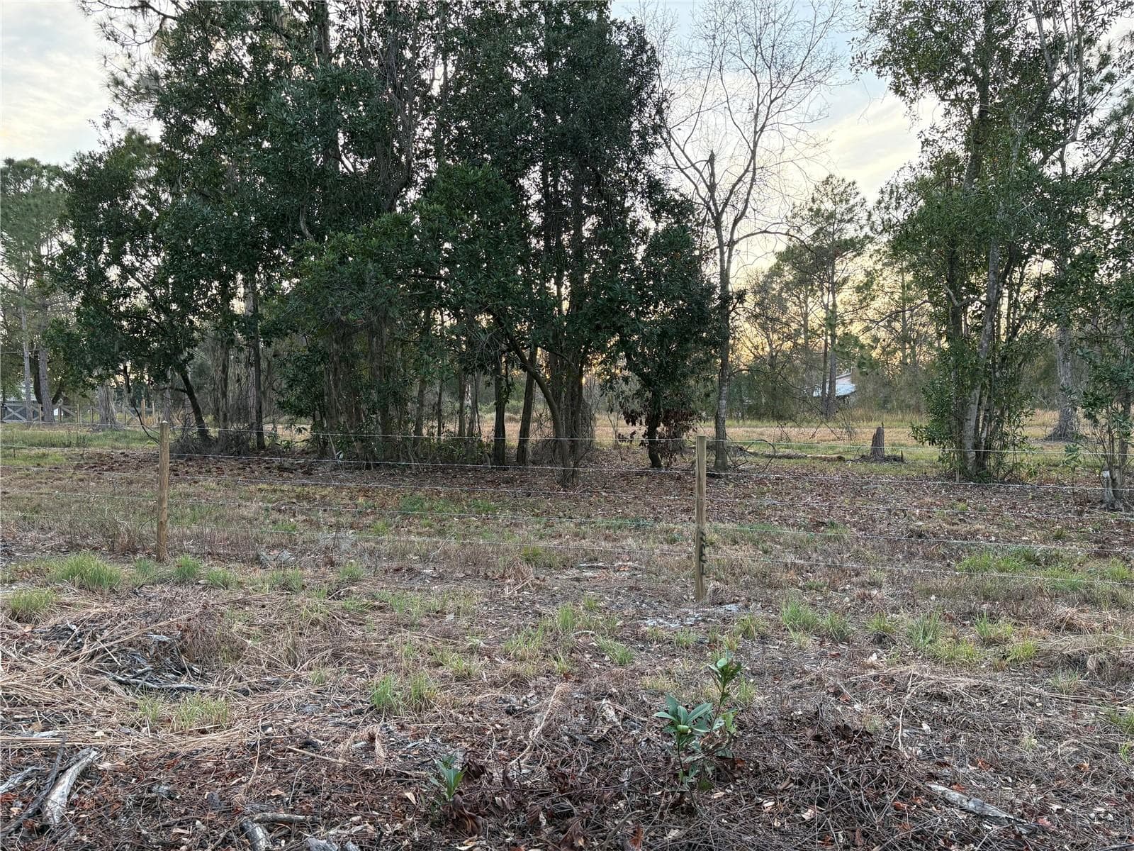Land at ALTURAS BABSON PARK CUTOFF RD, BARTOW, photo 14 of 14