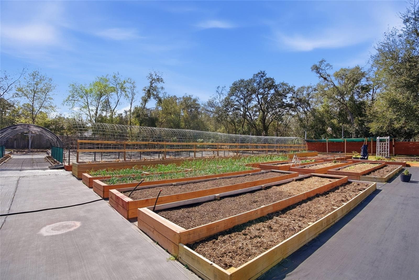 Your Own Homestead - 16090 FRINGE TREE DR, SPRING HILL