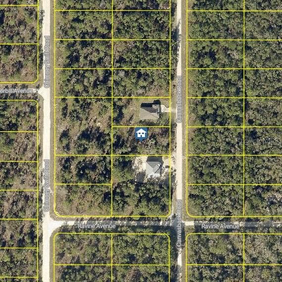 LOT 16 CANVASBACK RD