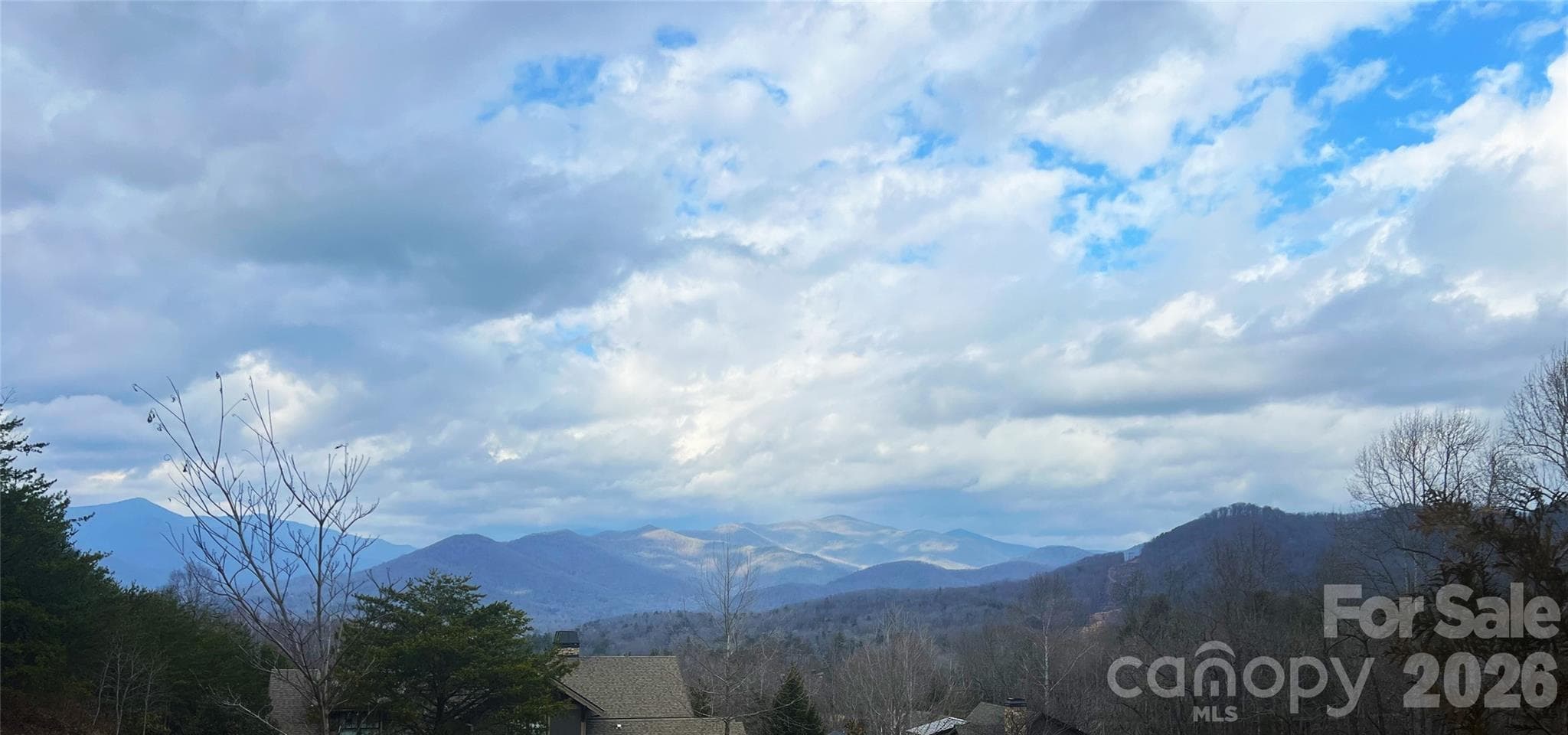 Community Mountain Views - Black Mountain