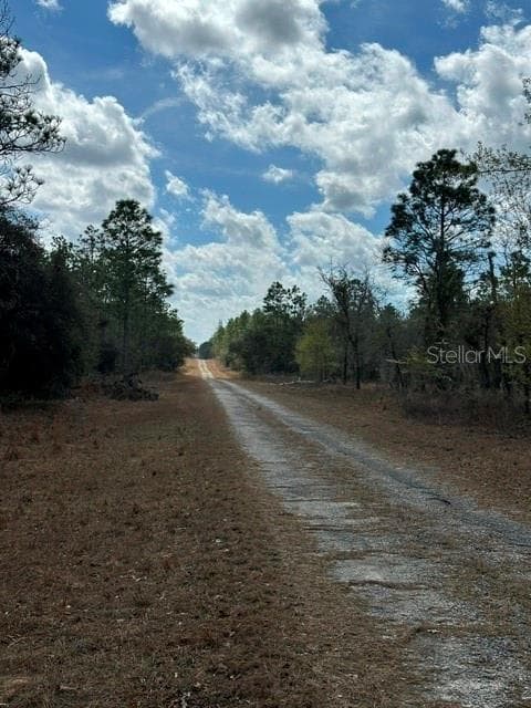 Land at RAINBOW LAKES ESTATE, DUNNELLON, photo 5 of 8